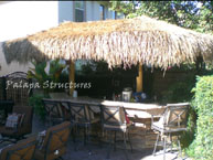 Palm 2 pole Palapa